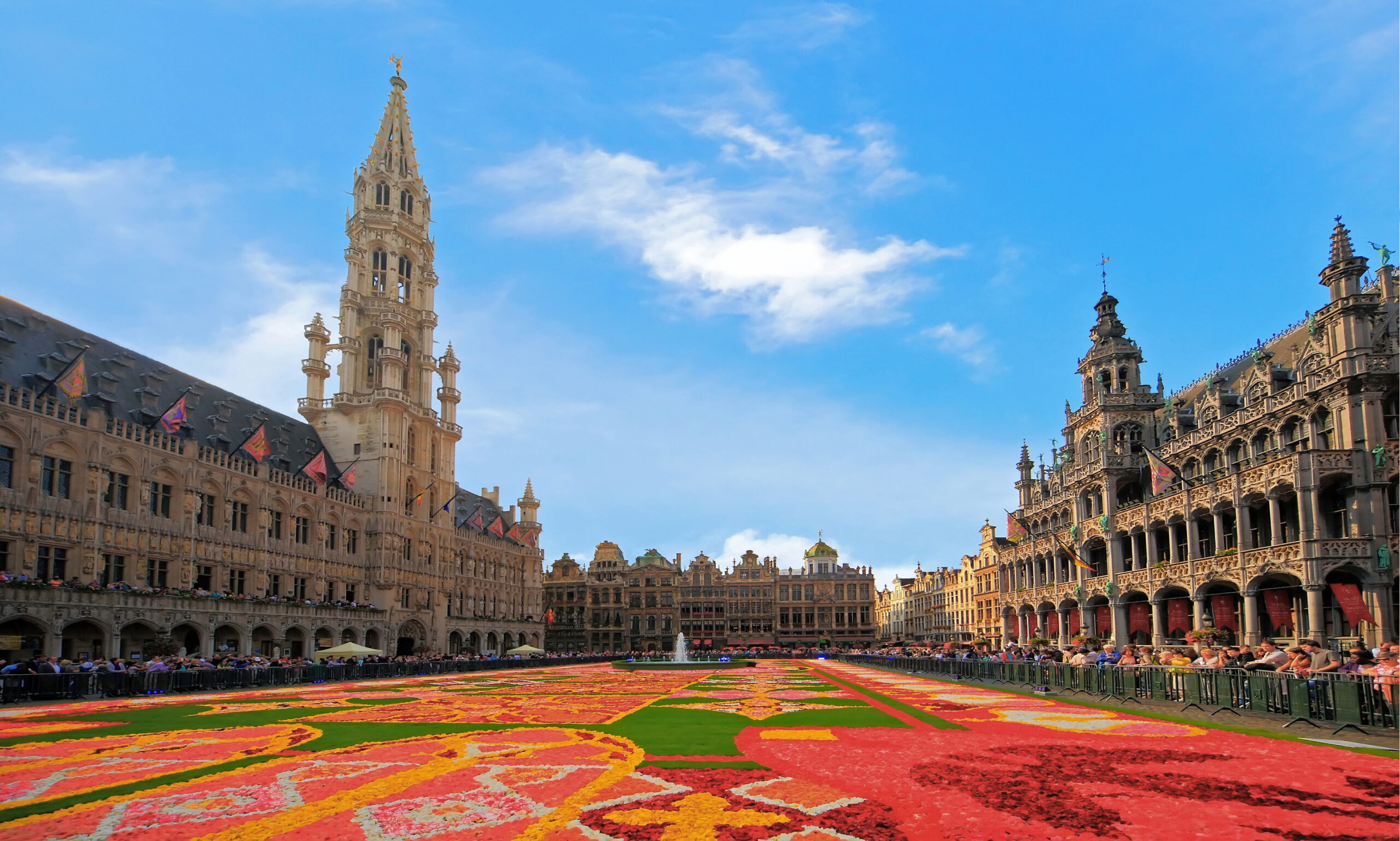 Belgium Professional Card (Self-Employed Permit) 2026: requirements, costs, who qualifies